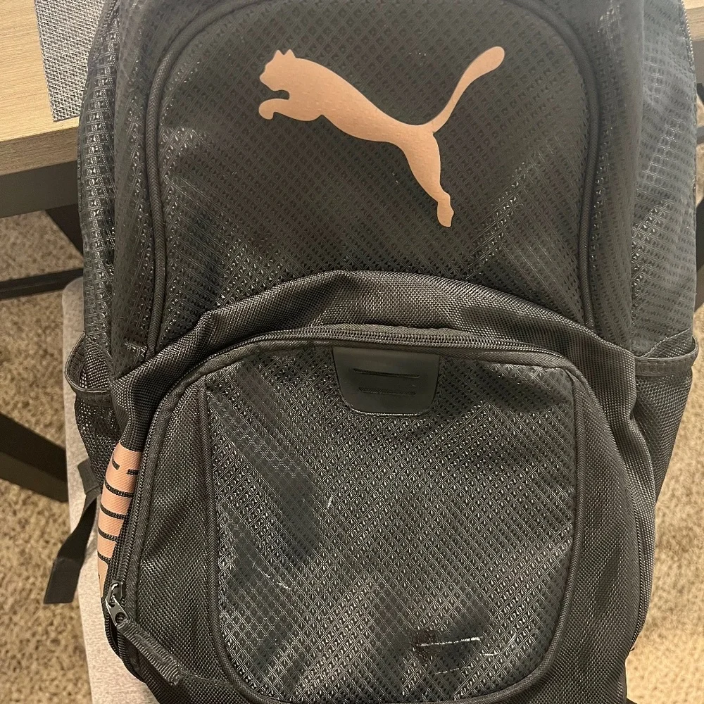 Backpack - Picture 1 of 2